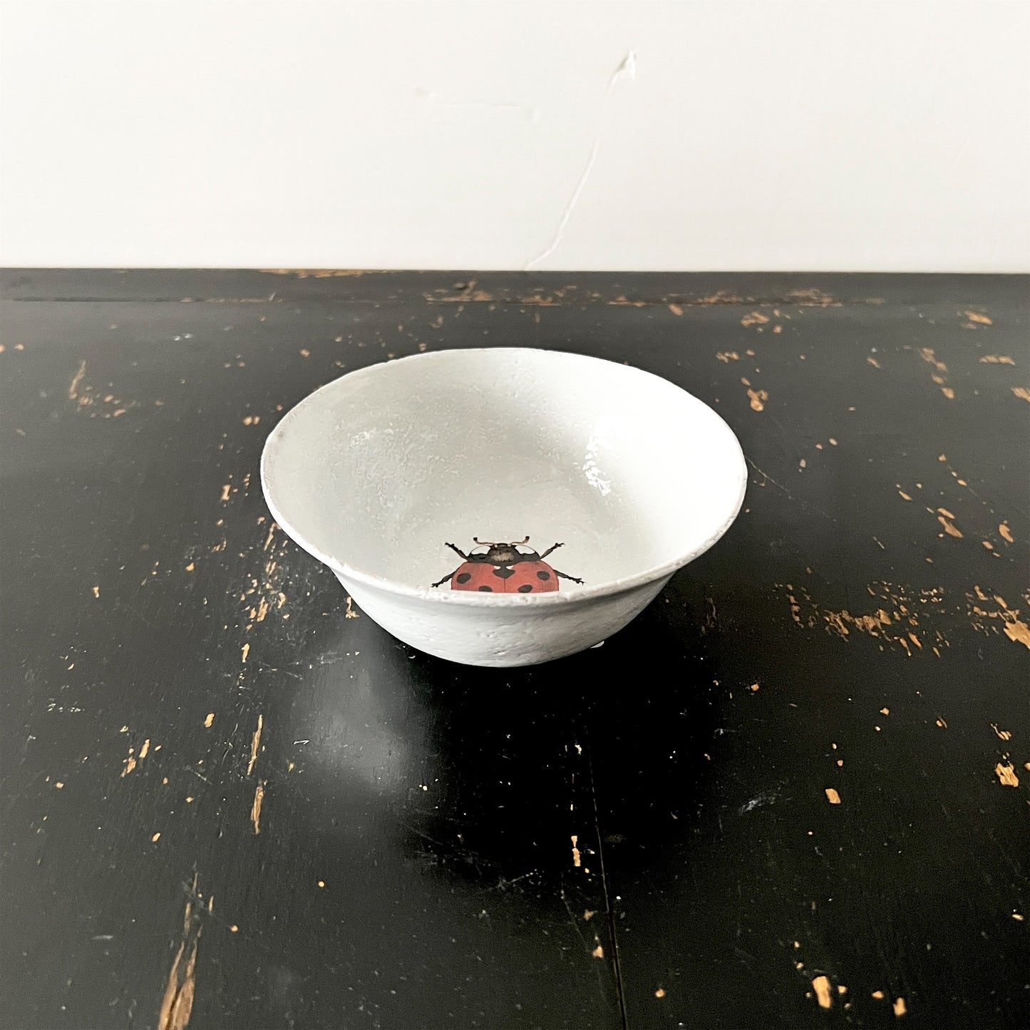 【Astier de Villatte】Ladybug スーププレート