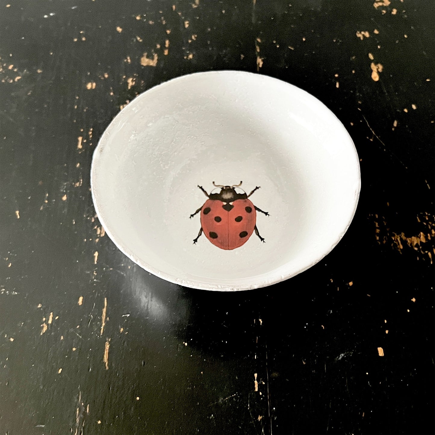【Astier de Villatte】Ladybug スーププレート