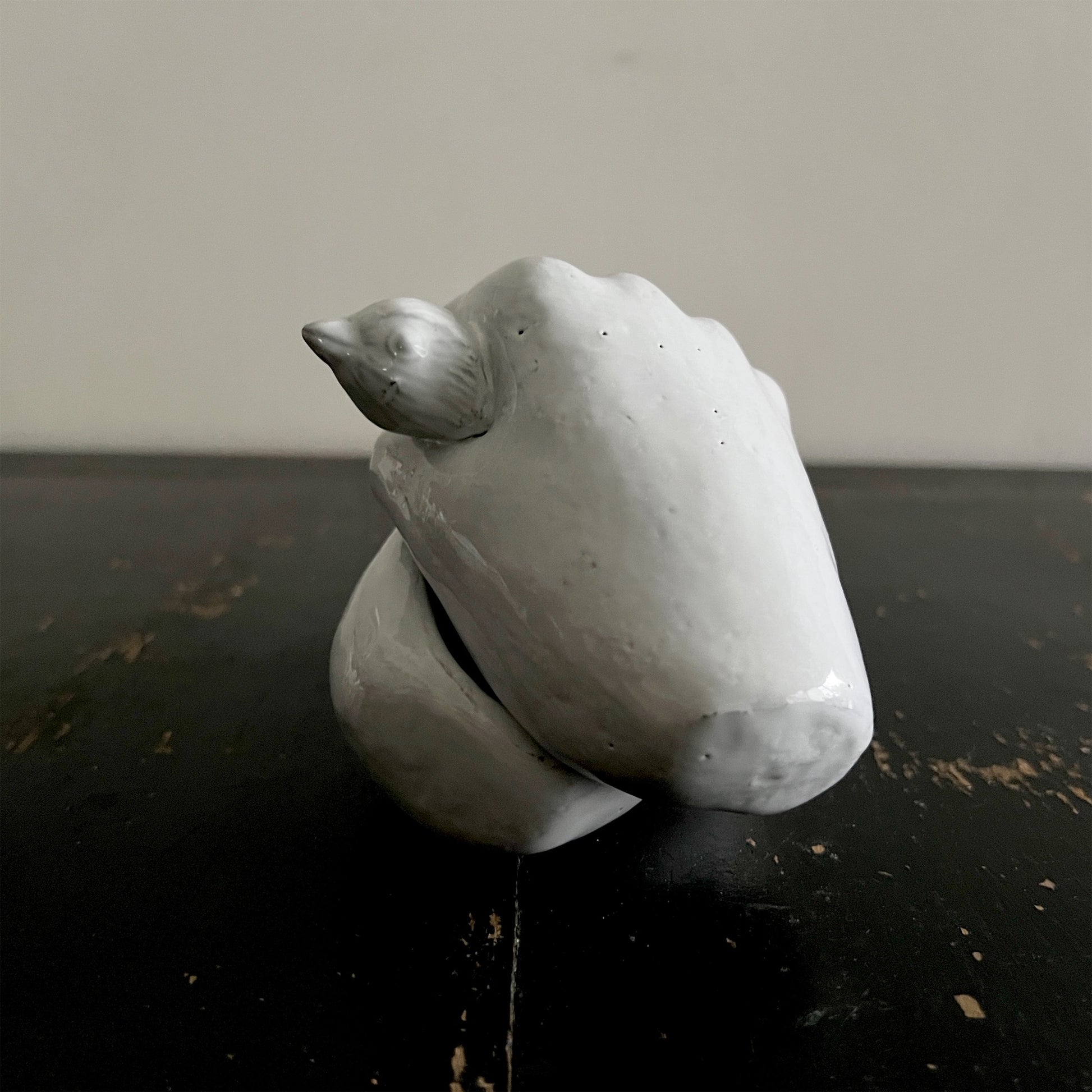 【Astier de Villatte】Serena Box (white ring)