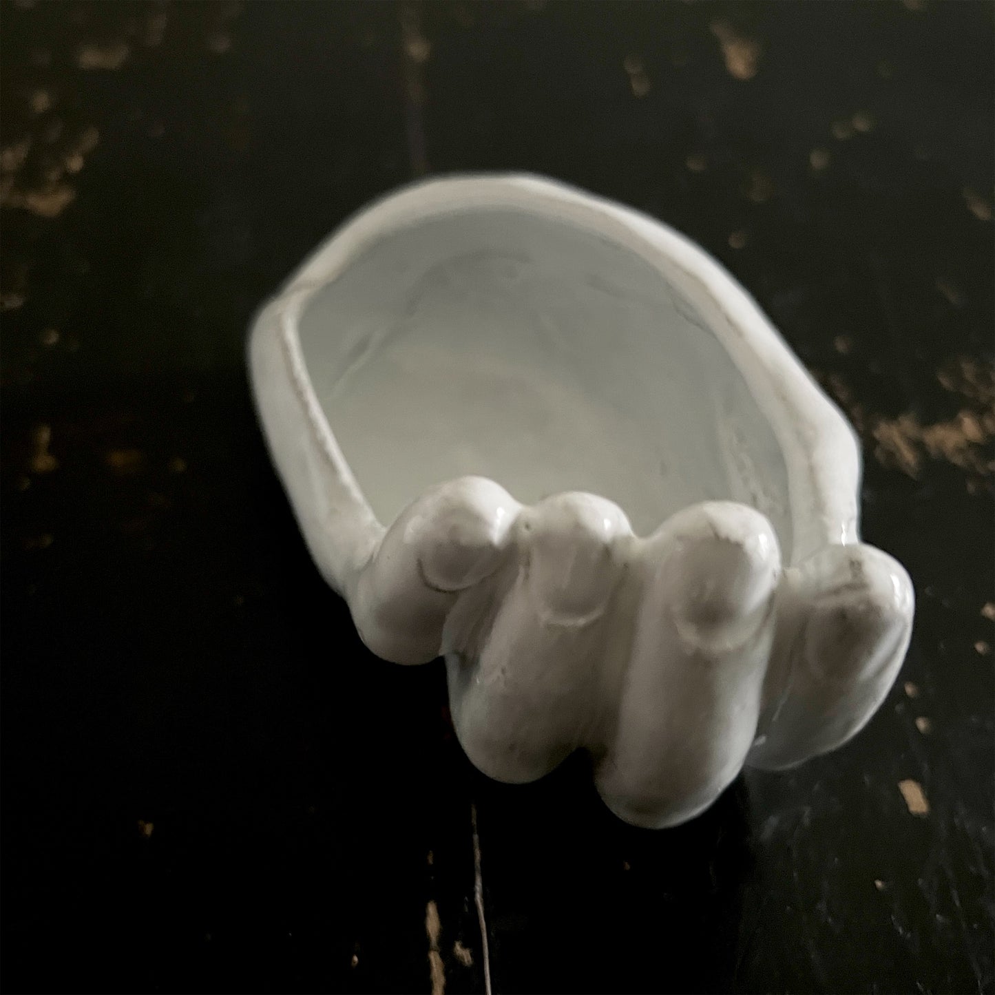 【Astier de Villatte】Serena Box (white ring)