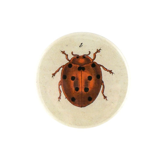 【JOHN DERIAN】ポケットミラー Tiny Dot Ladybug