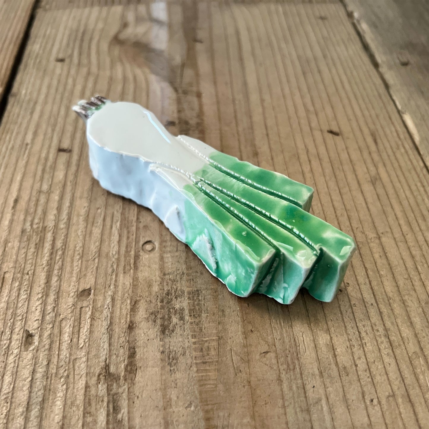 【MV% ceramics design】Cipollotto