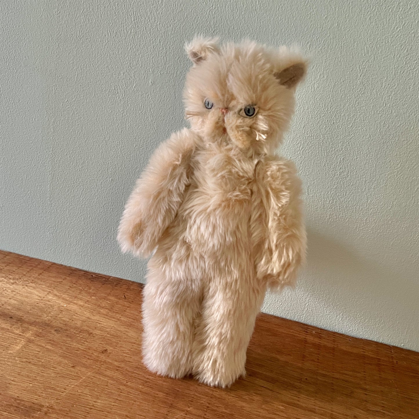 【AYUKO HAZU】Cat T 6