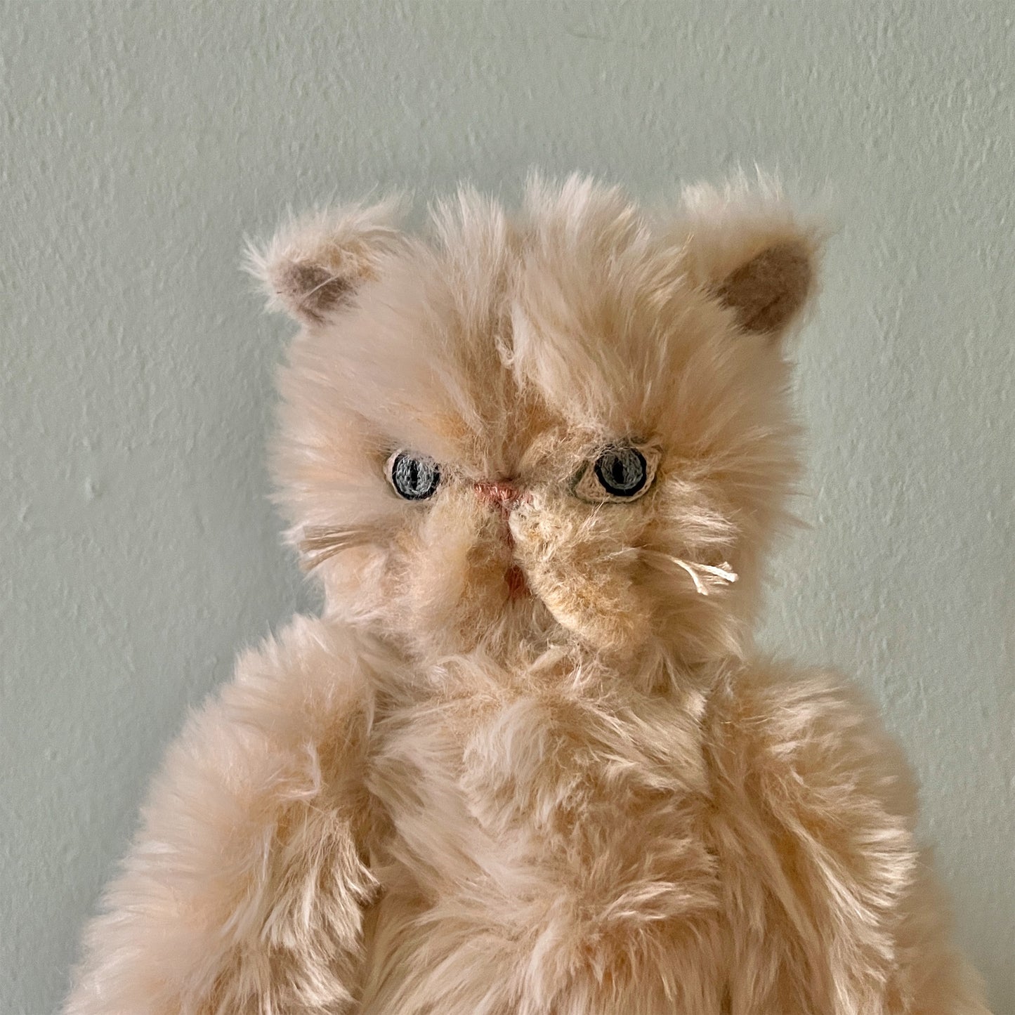 【AYUKO HAZU】Cat T 6