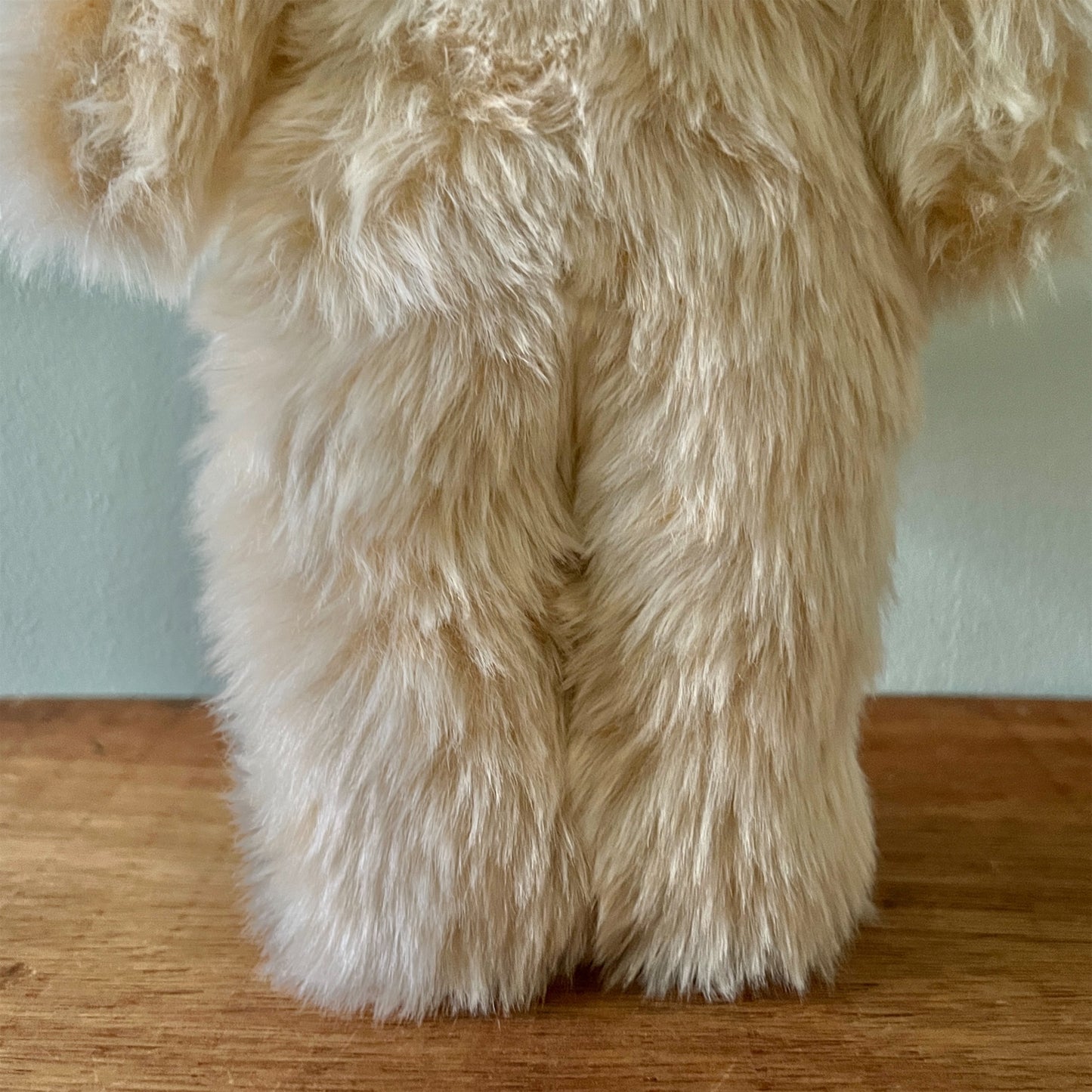 【AYUKO HAZU】Cat T 6