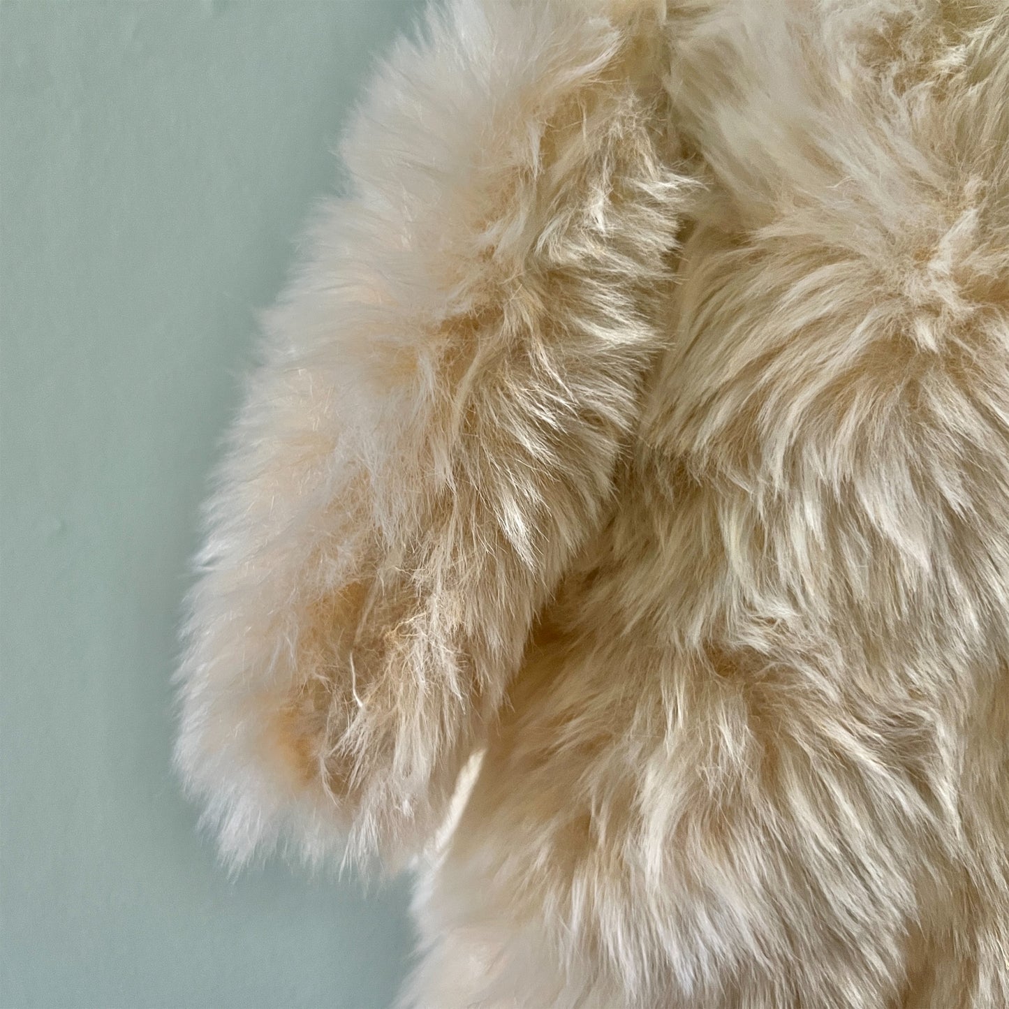 【AYUKO HAZU】Cat T 6