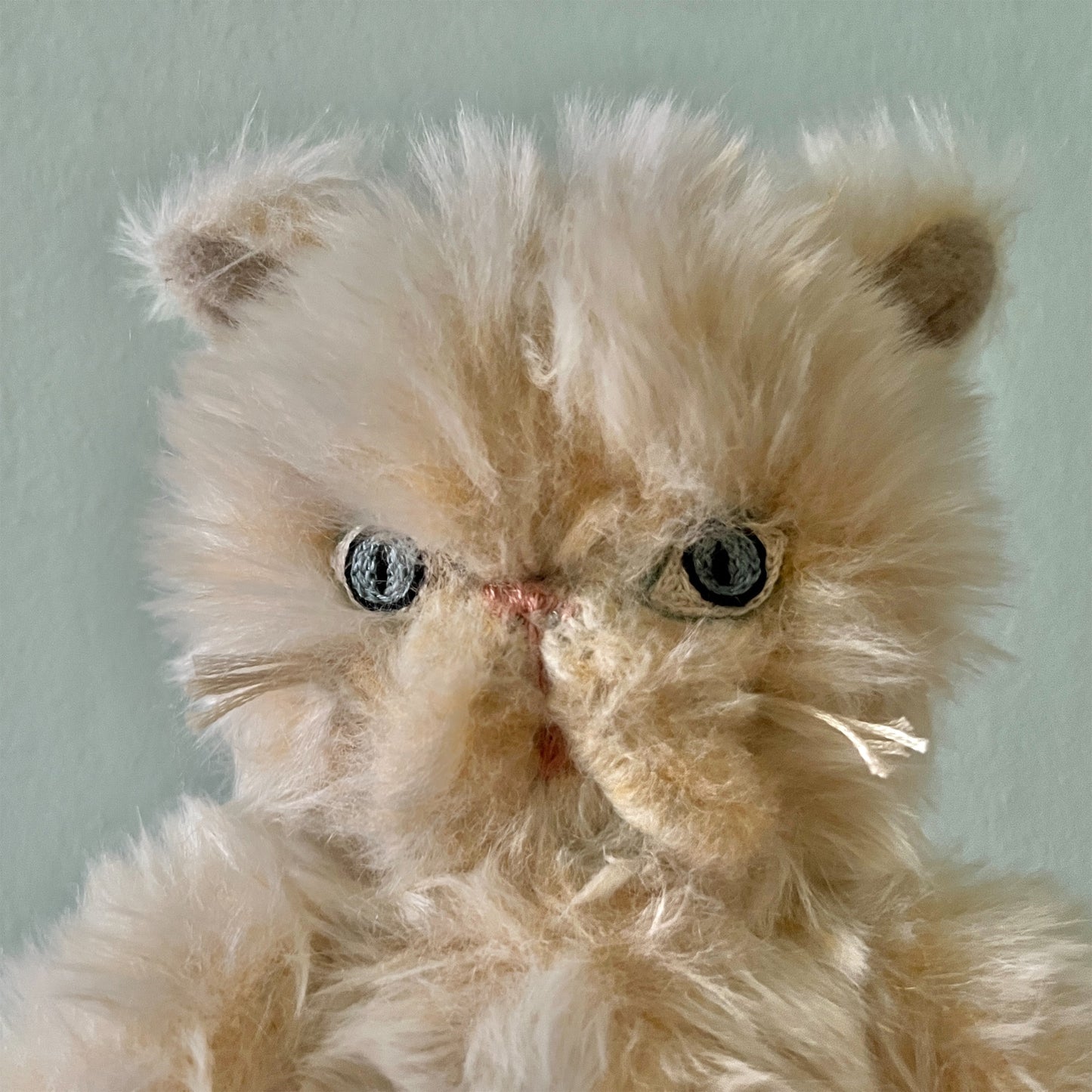 【AYUKO HAZU】Cat T 6