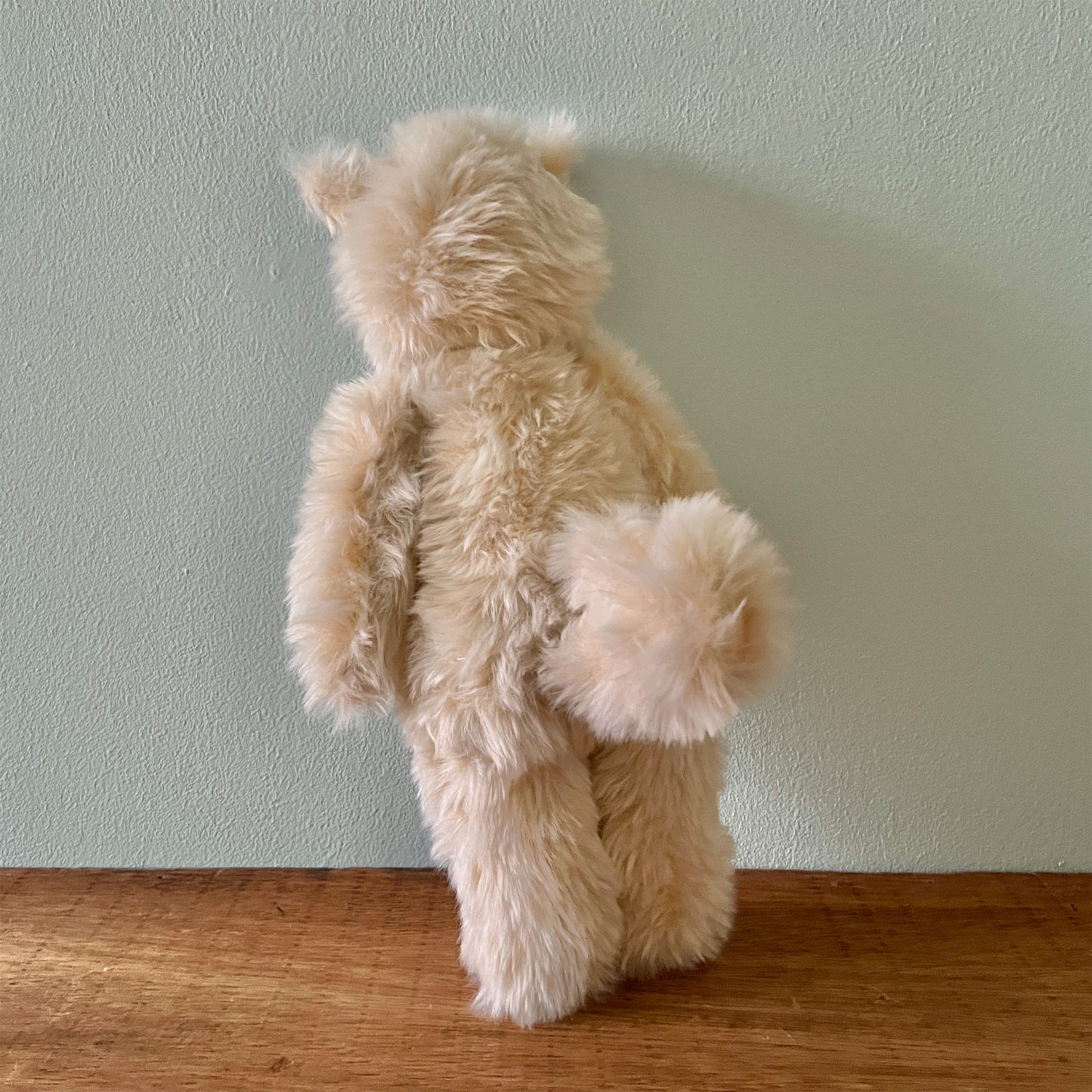 【AYUKO HAZU】Cat T 6