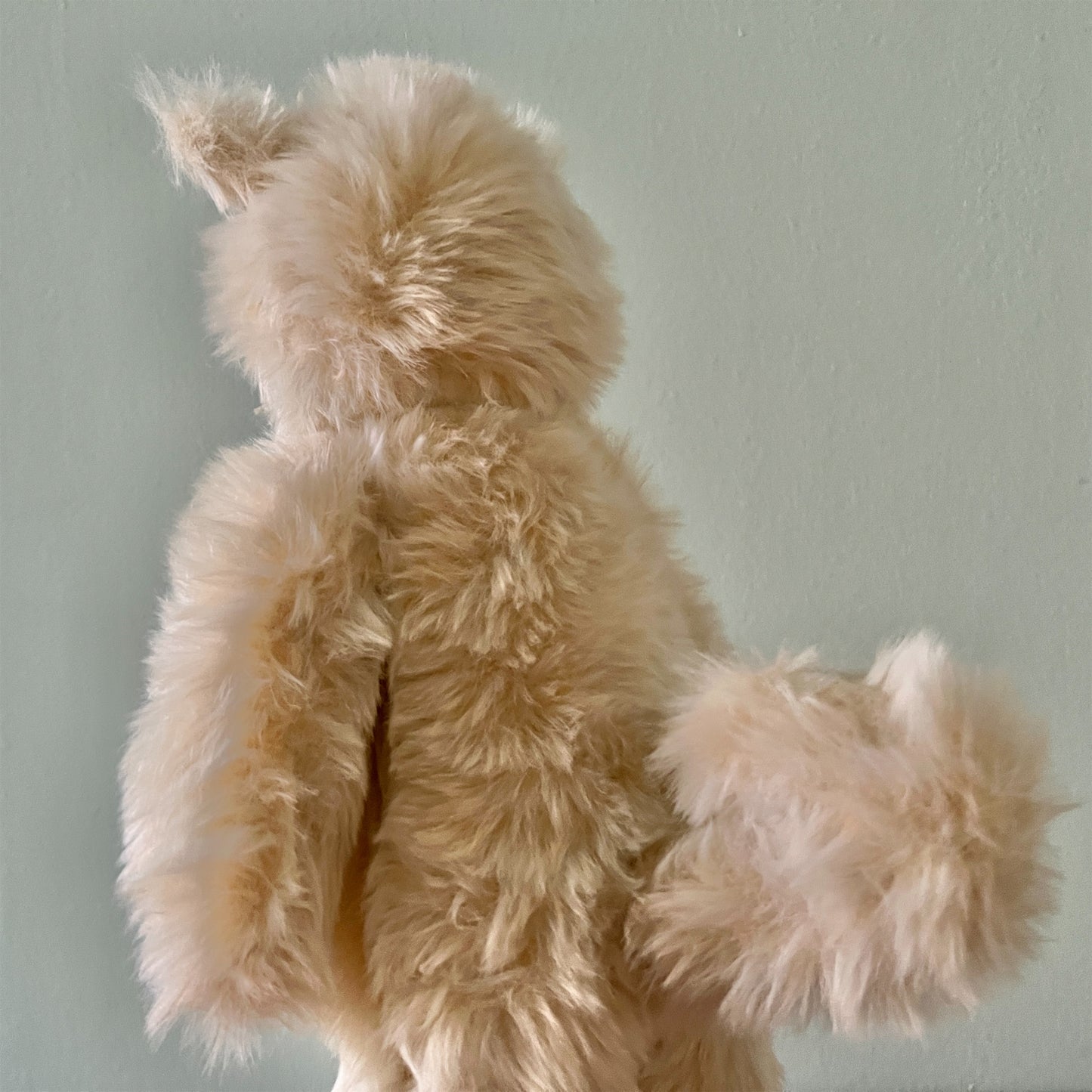 【AYUKO HAZU】Cat T 6