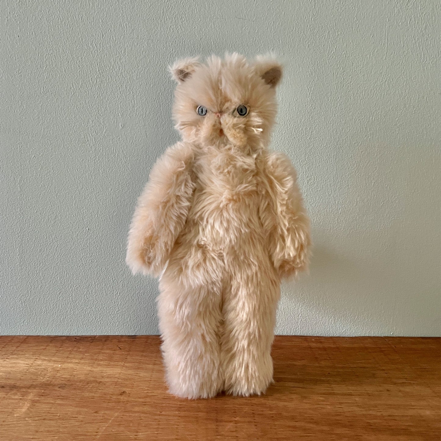 【AYUKO HAZU】Cat T 6