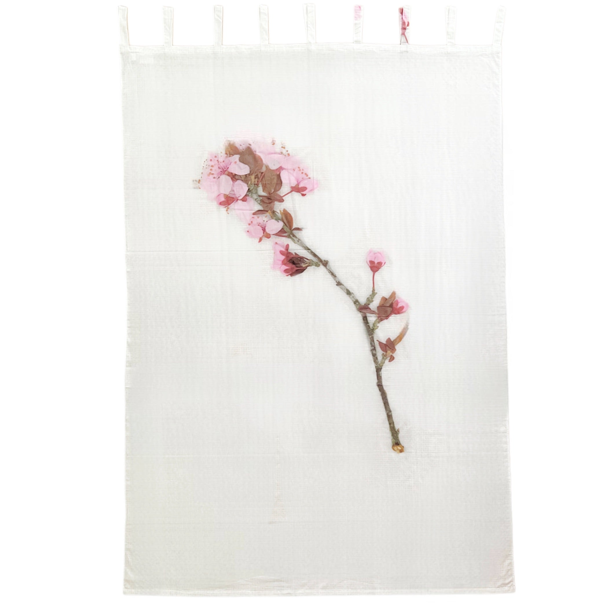 Colomba leddi milano　花柄カーテン Colomba Leddi】CURTAIN_COTTON VOILE_mastricco avenue | フィール