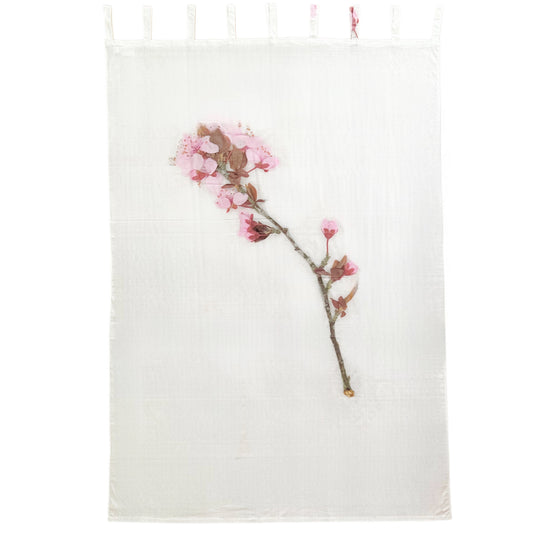 【Colomba Leddi】CURTAIN_COTTON VOILE_mastricco avenue