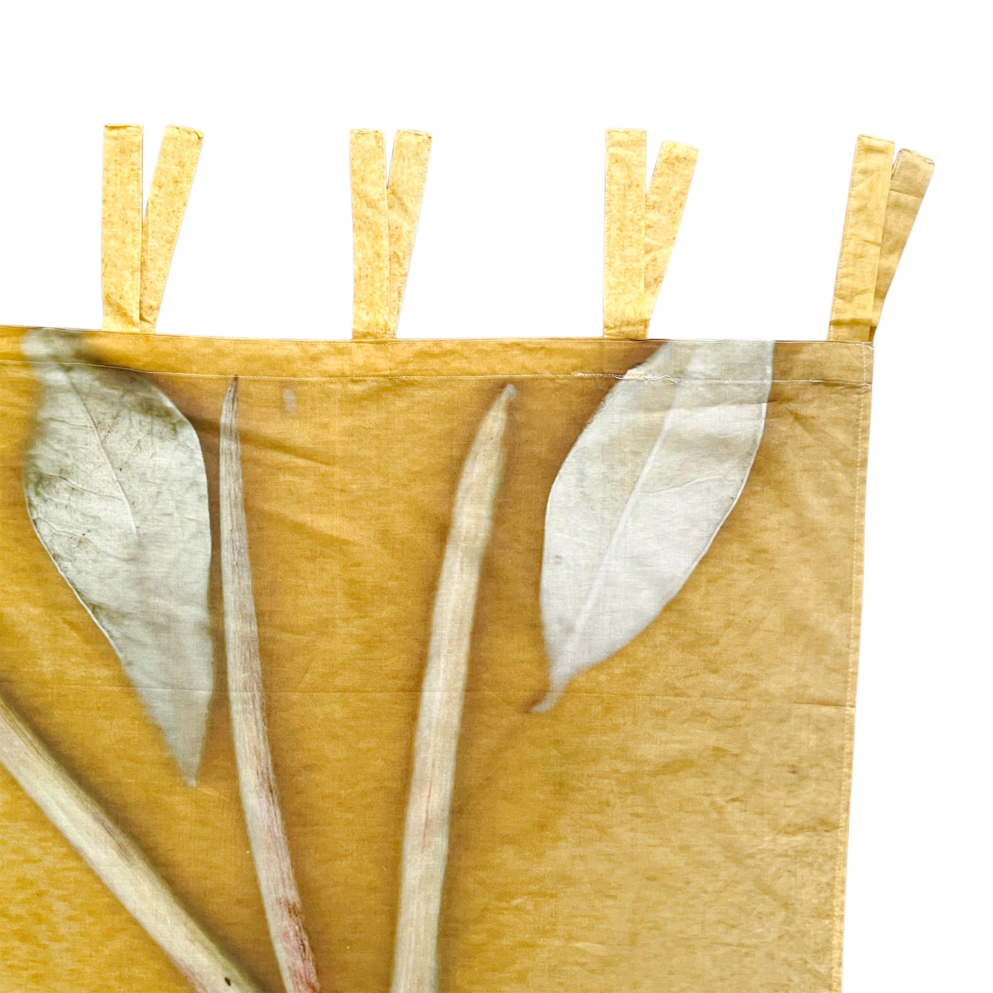 【colomba ledddi】Curtain_Cotton Voile_Natura Lime
