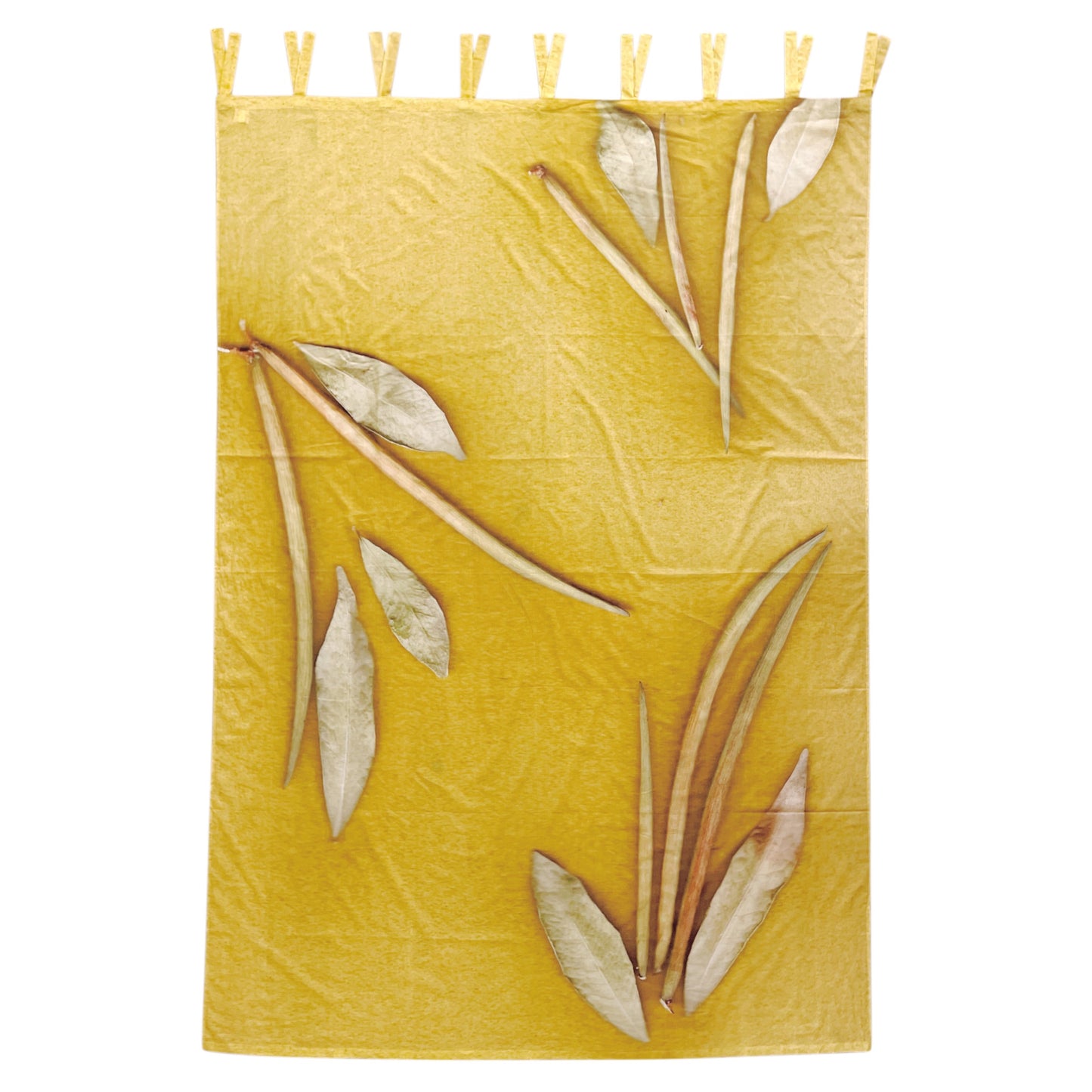 【colomba ledddi】Curtain_Cotton Voile_Natura Lime