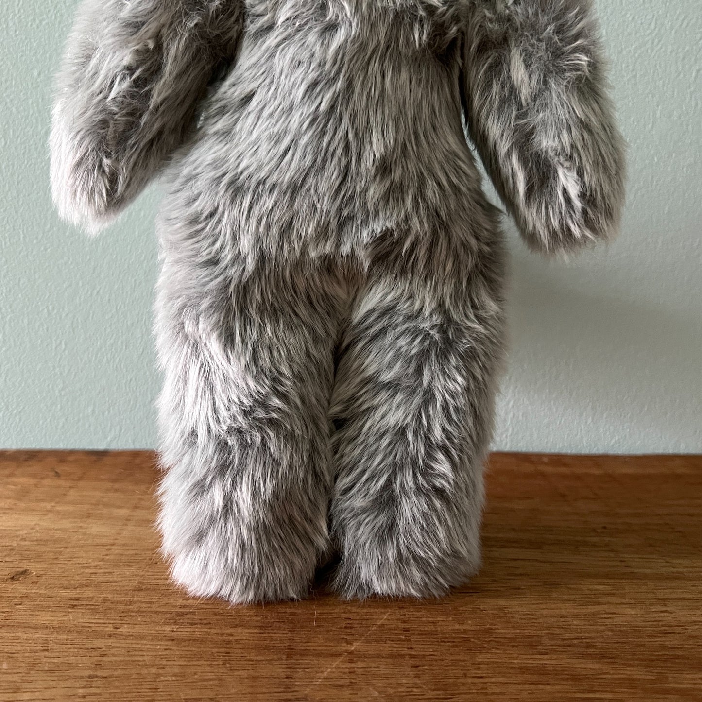 【AYUKO HAZU】Cat T 7