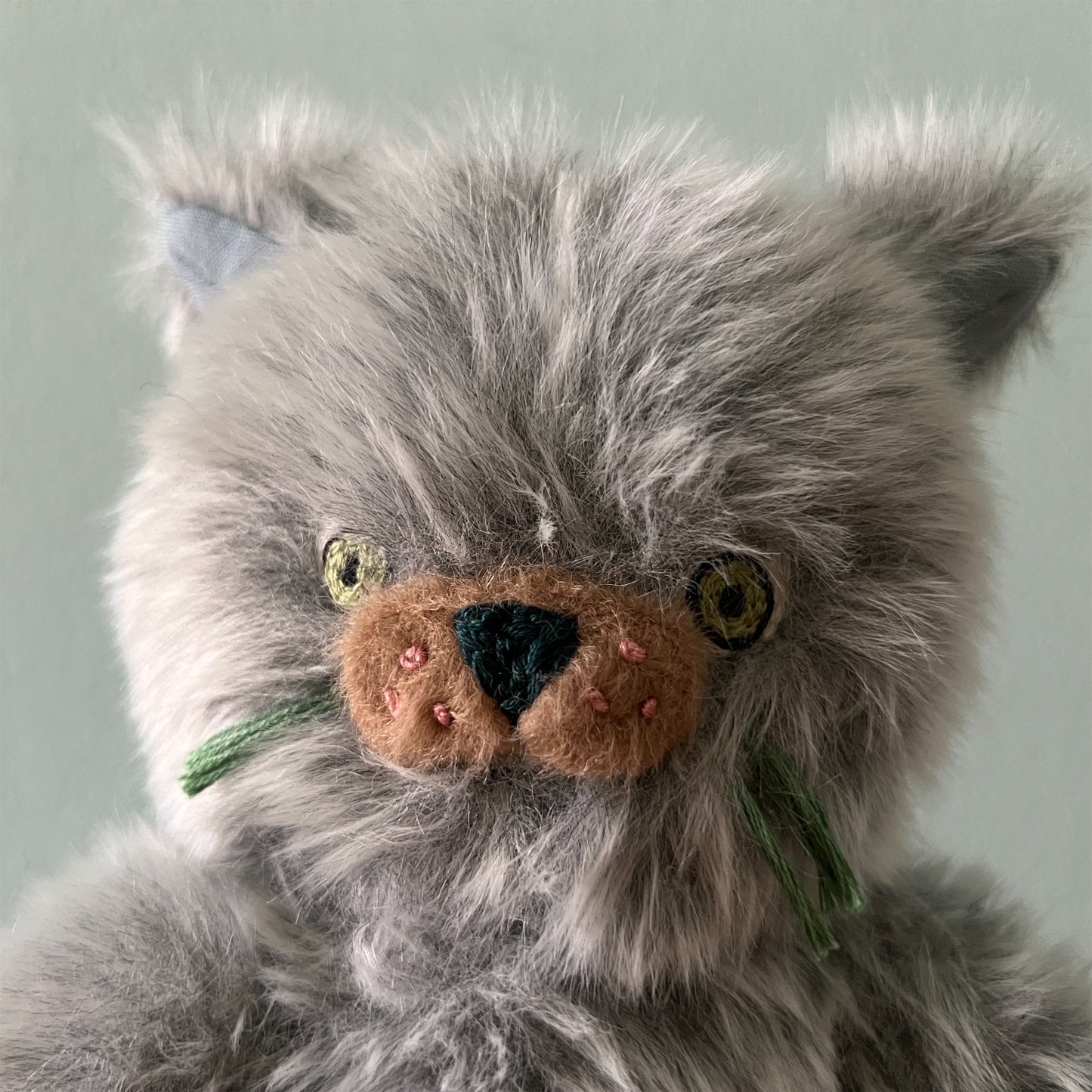 【AYUKO HAZU】Cat T 7