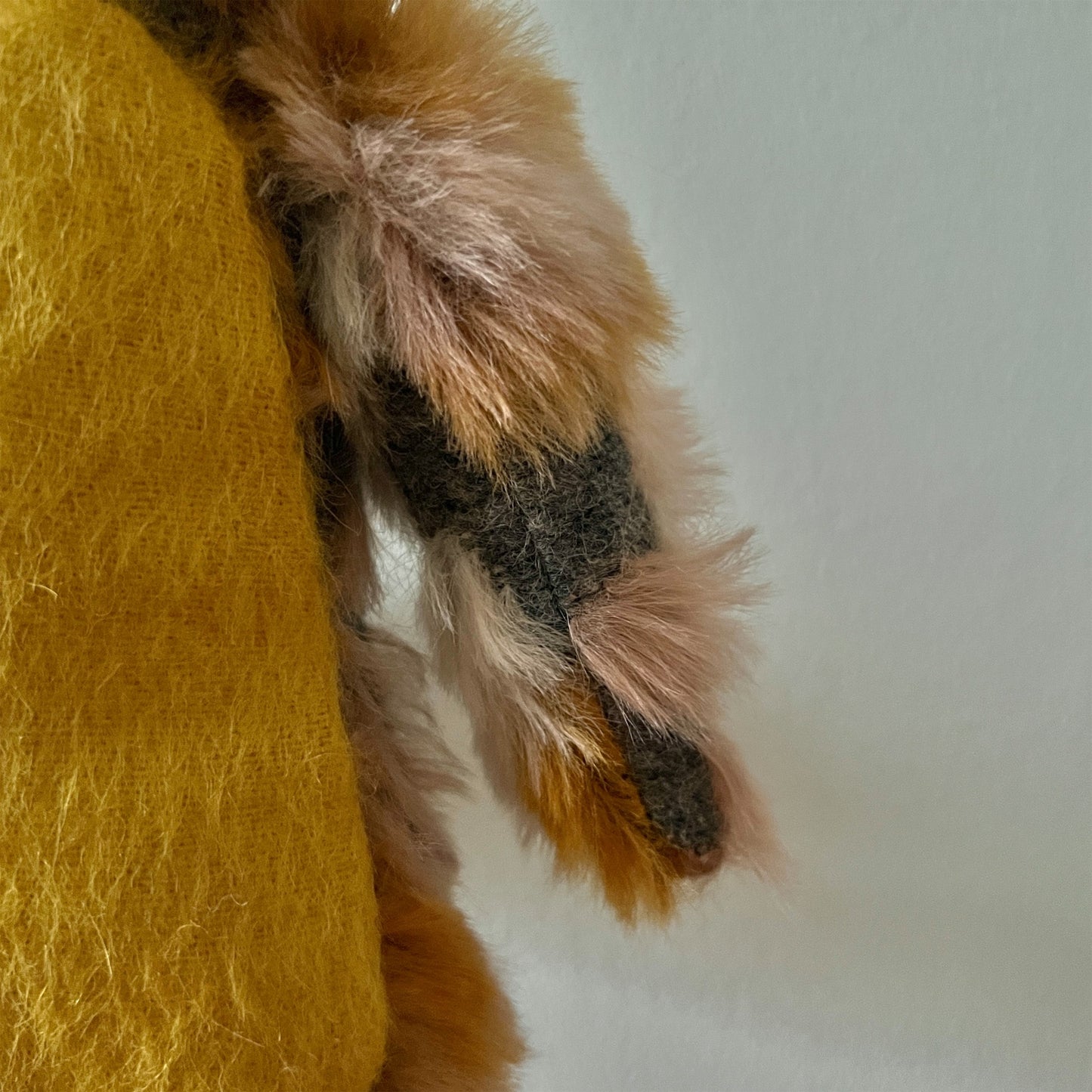 【AYUKO HAZU】Cat T 4