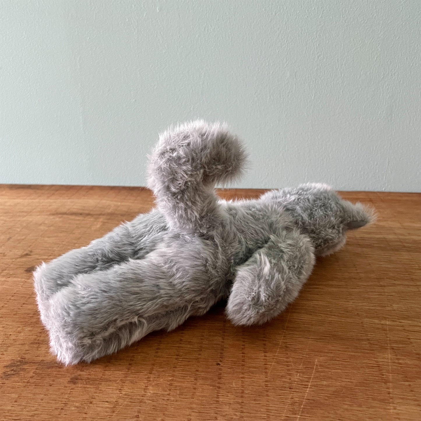 【AYUKO HAZU】Cat T 7