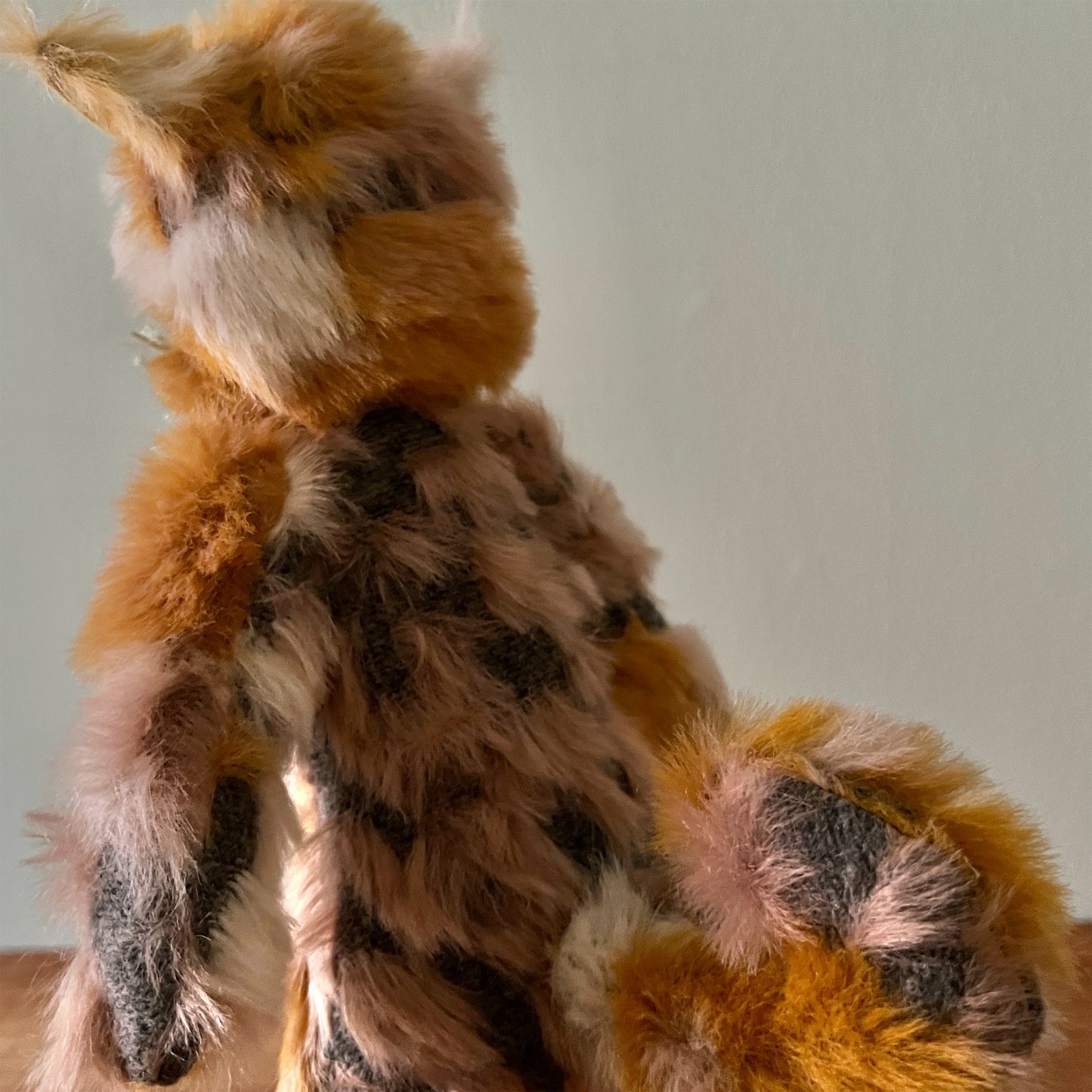 【AYUKO HAZU】Cat T 4