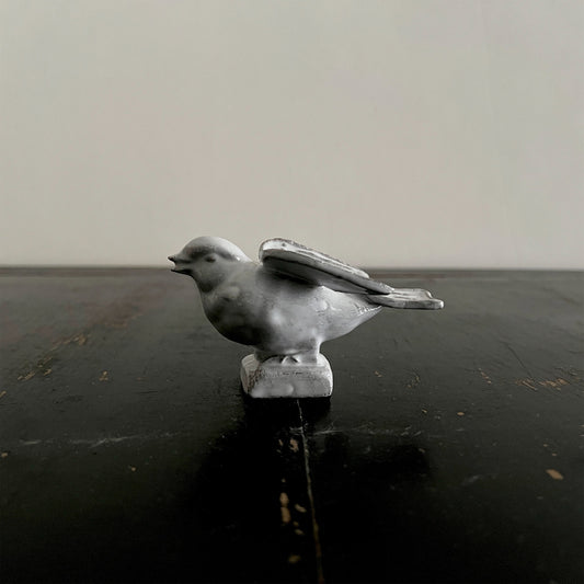 【Astier de Villatte】Bird