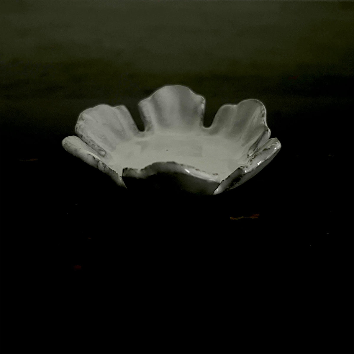 【Astier de Villatte】Small Chou Dish with Six Petals