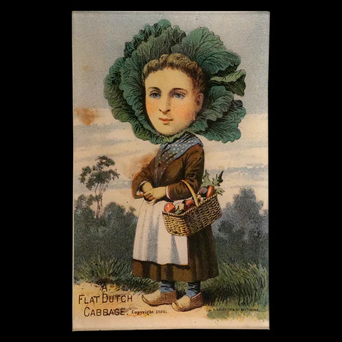 【JOHN DERIAN】デコパージュプレートA Flat Dutch Cabbage