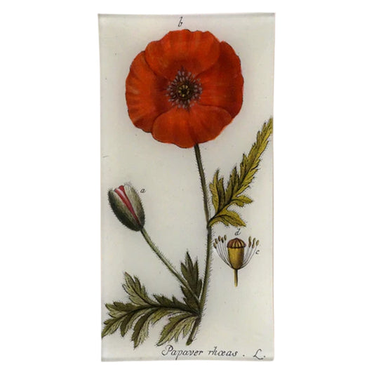 【JOHN DERIAN】デコパージュプレート Papaver Rhoeas_4T