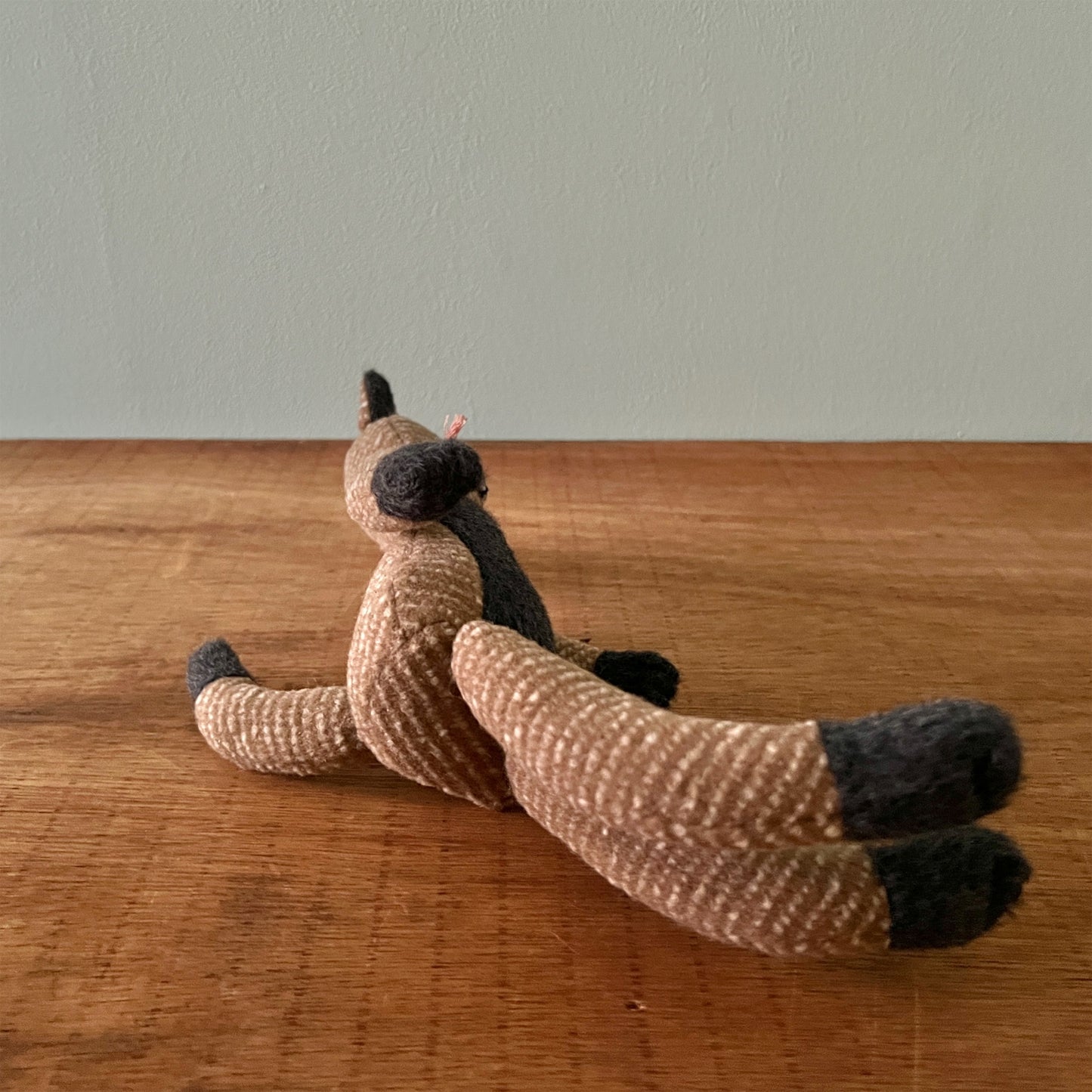 【AYUKO HAZU】Cat S 3