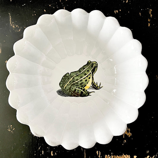 【Astier de Villatte】Sitting Frog ラージサラダボウル