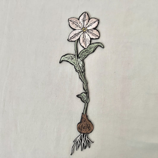 【ma.macaron】花　球根