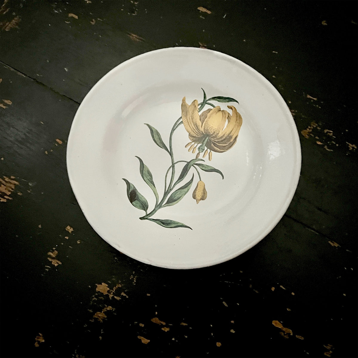 【Astier de Villatte】The Martagon Soup Plate