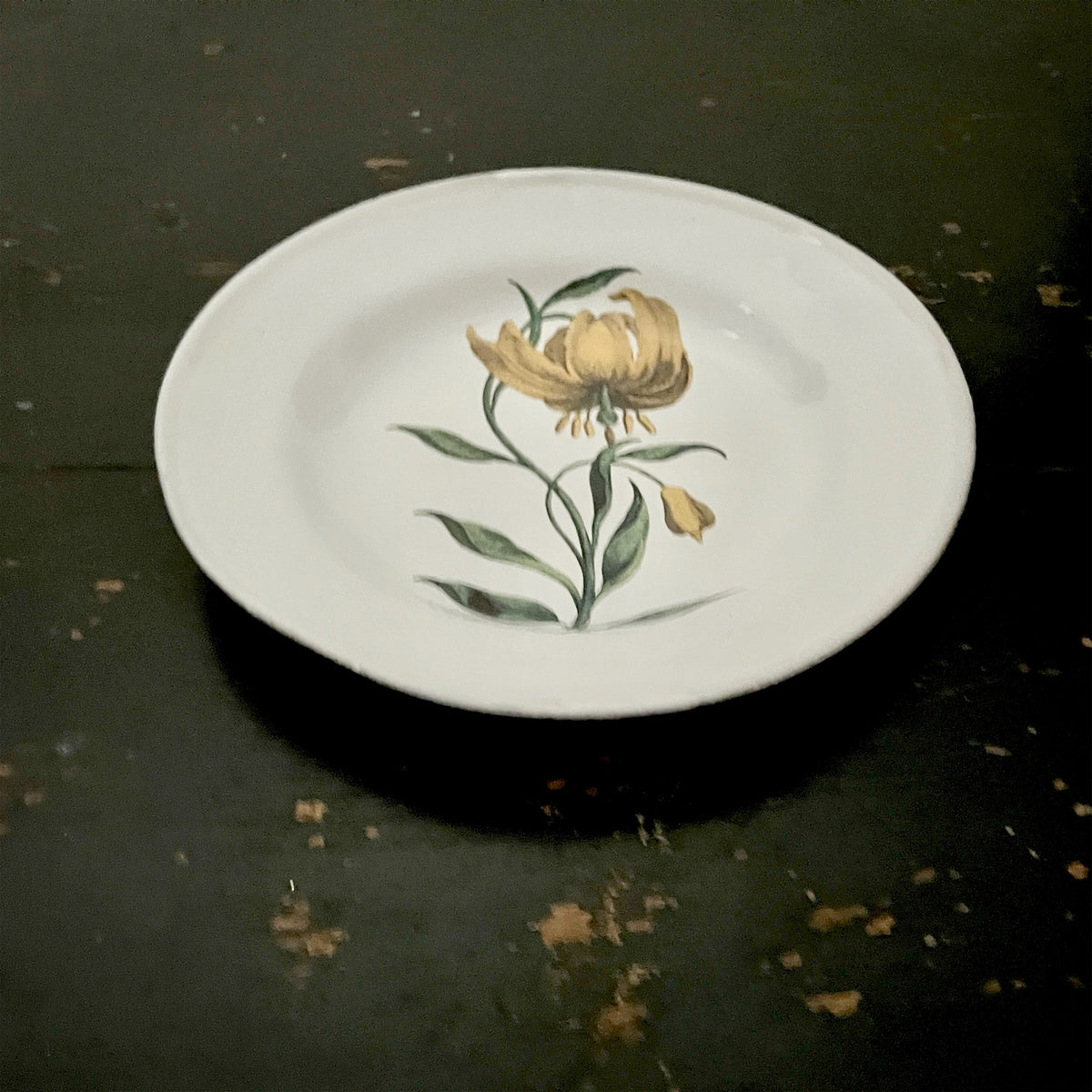 【Astier de Villatte】The Martagon Soup Plate
