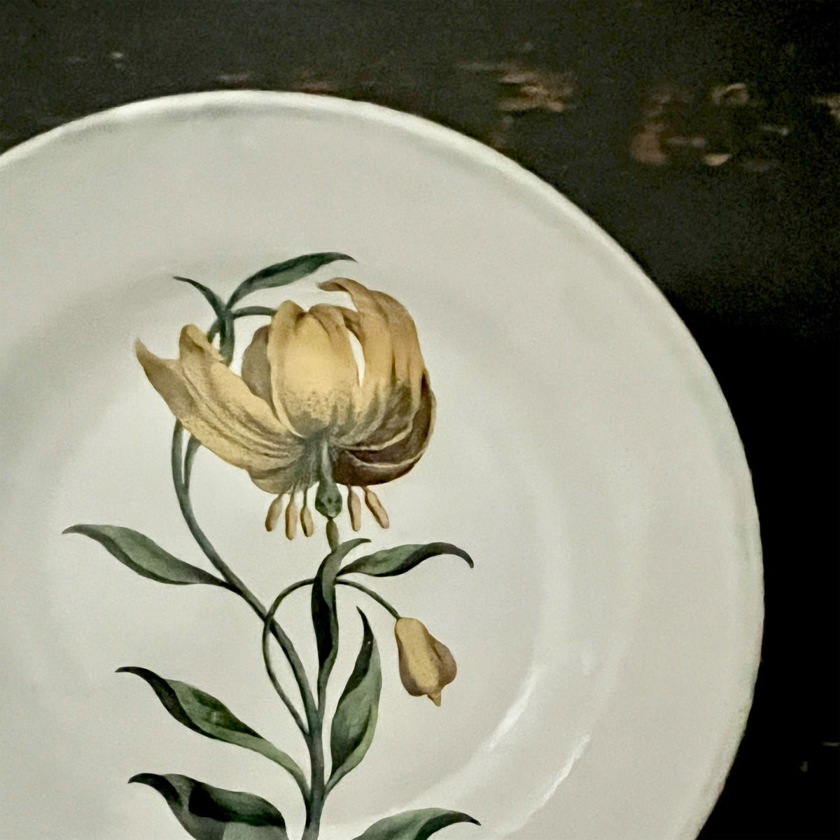 【Astier de Villatte】The Martagon Soup Plate