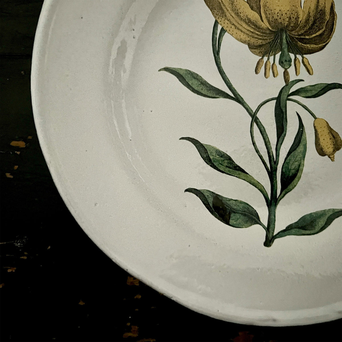 【Astier de Villatte】The Martagon Soup Plate