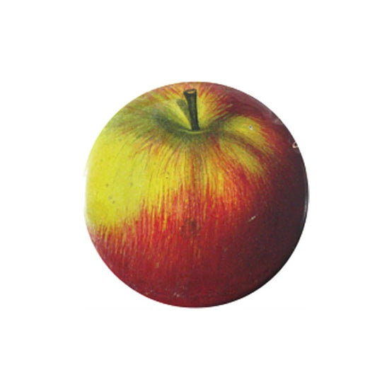 【JOHN DERIAN】ポケットミラー Red Apple