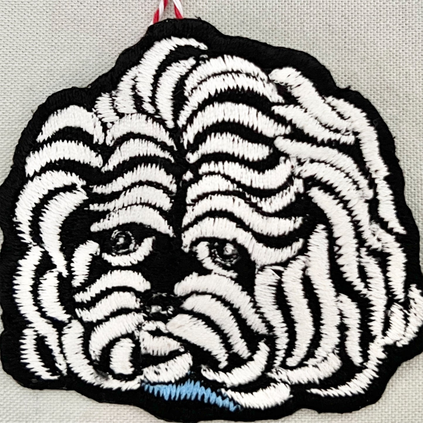 【ma.macaron】マルチーズ  B