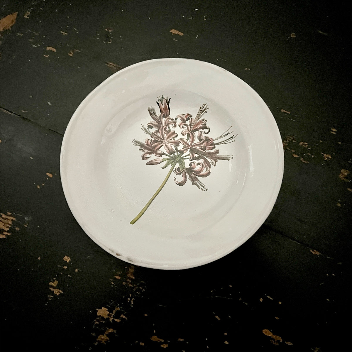 【Astier de Villatte】Guernsey Lily Soup Plate