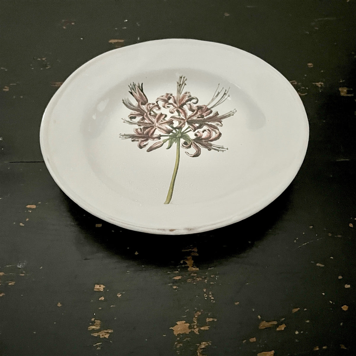 【Astier de Villatte】Guernsey Lily Soup Plate