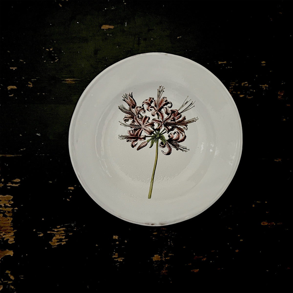 【Astier de Villatte】Guernsey Lily Soup Plate