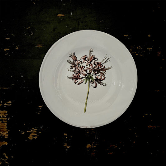【Astier de Villatte】Guernsey Lily Soup Plate