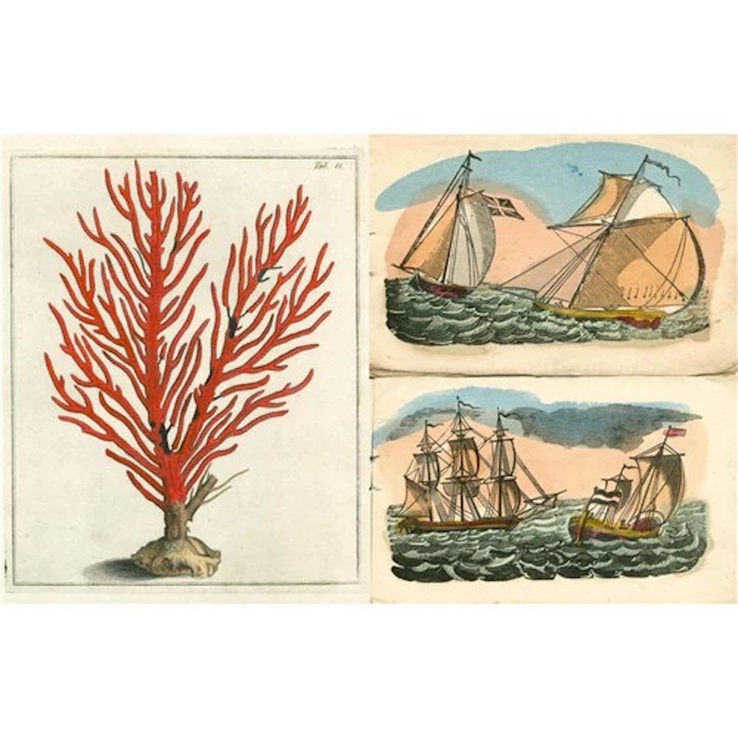 【JOHN DERIAN】ピクチャーブック Picture Book II / signed