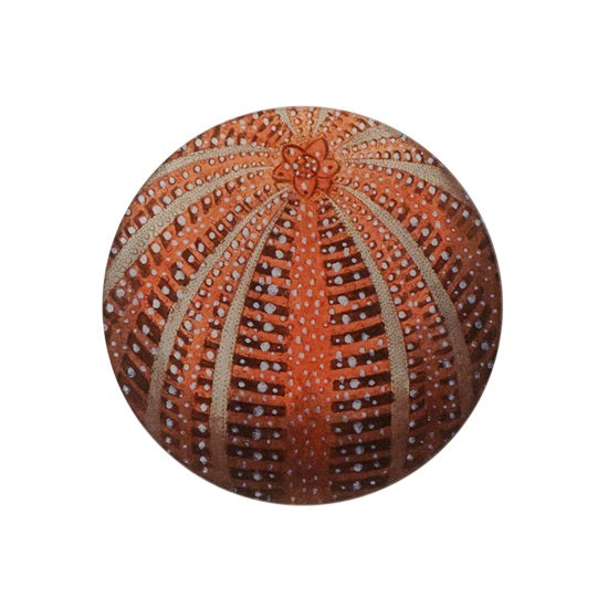 【JOHN DERIAN】デコパージュプレート Red Sea Urchin