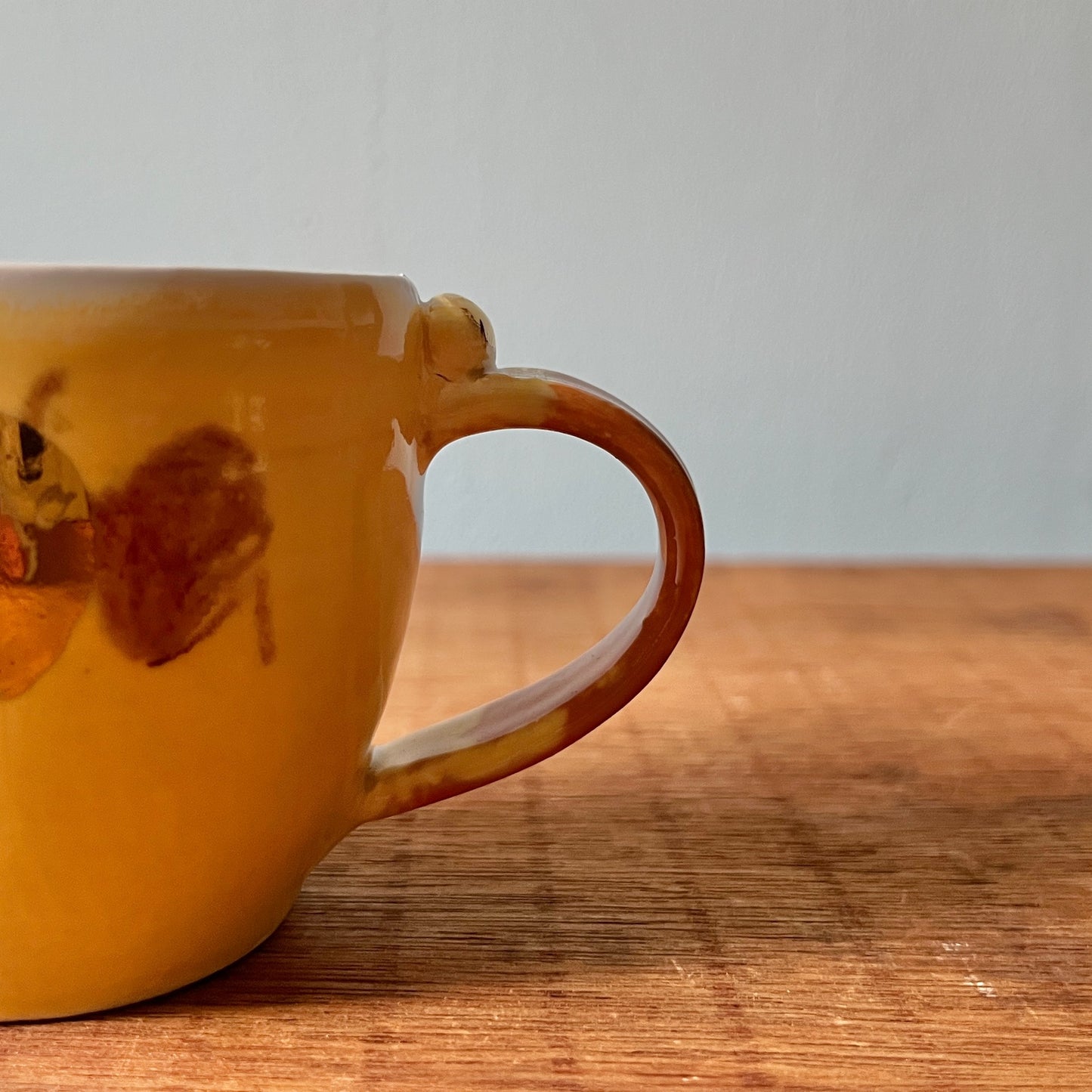 【Miho Inagaki】25-C19