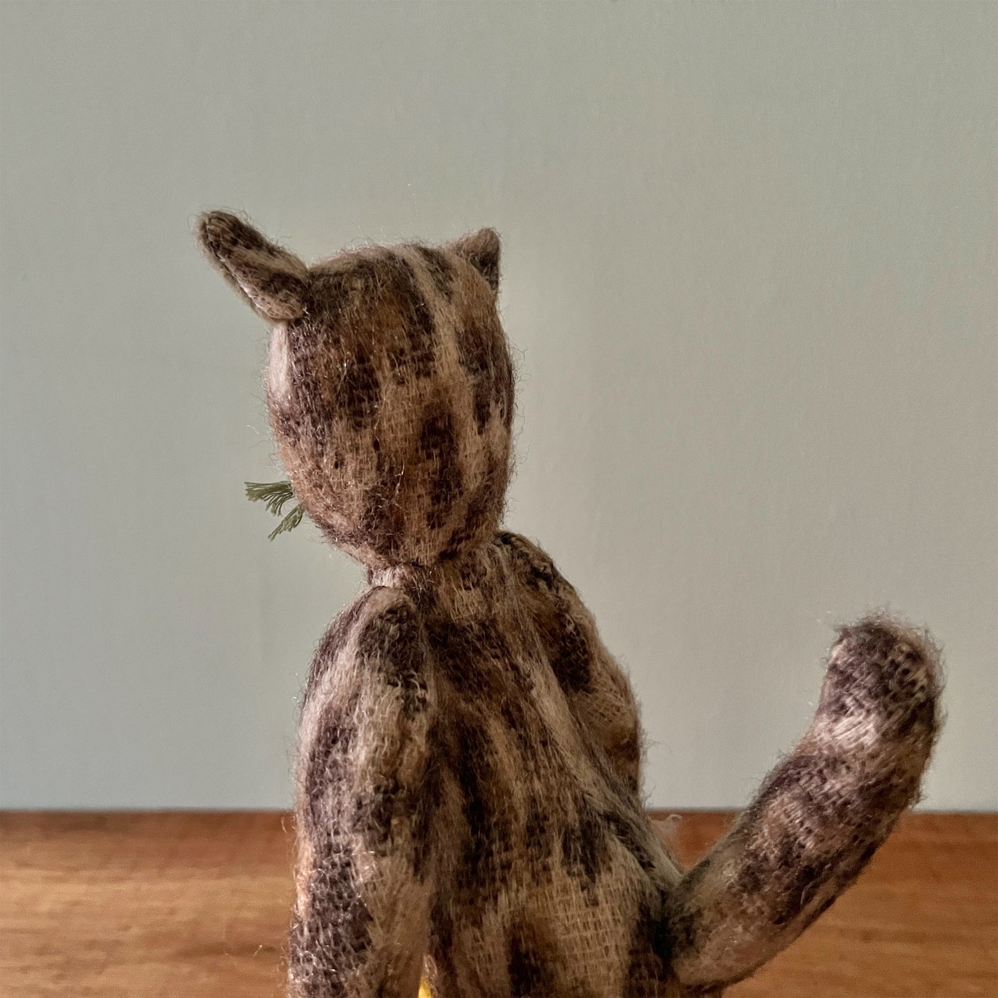 【AYUKO HAZU】Cat S 6