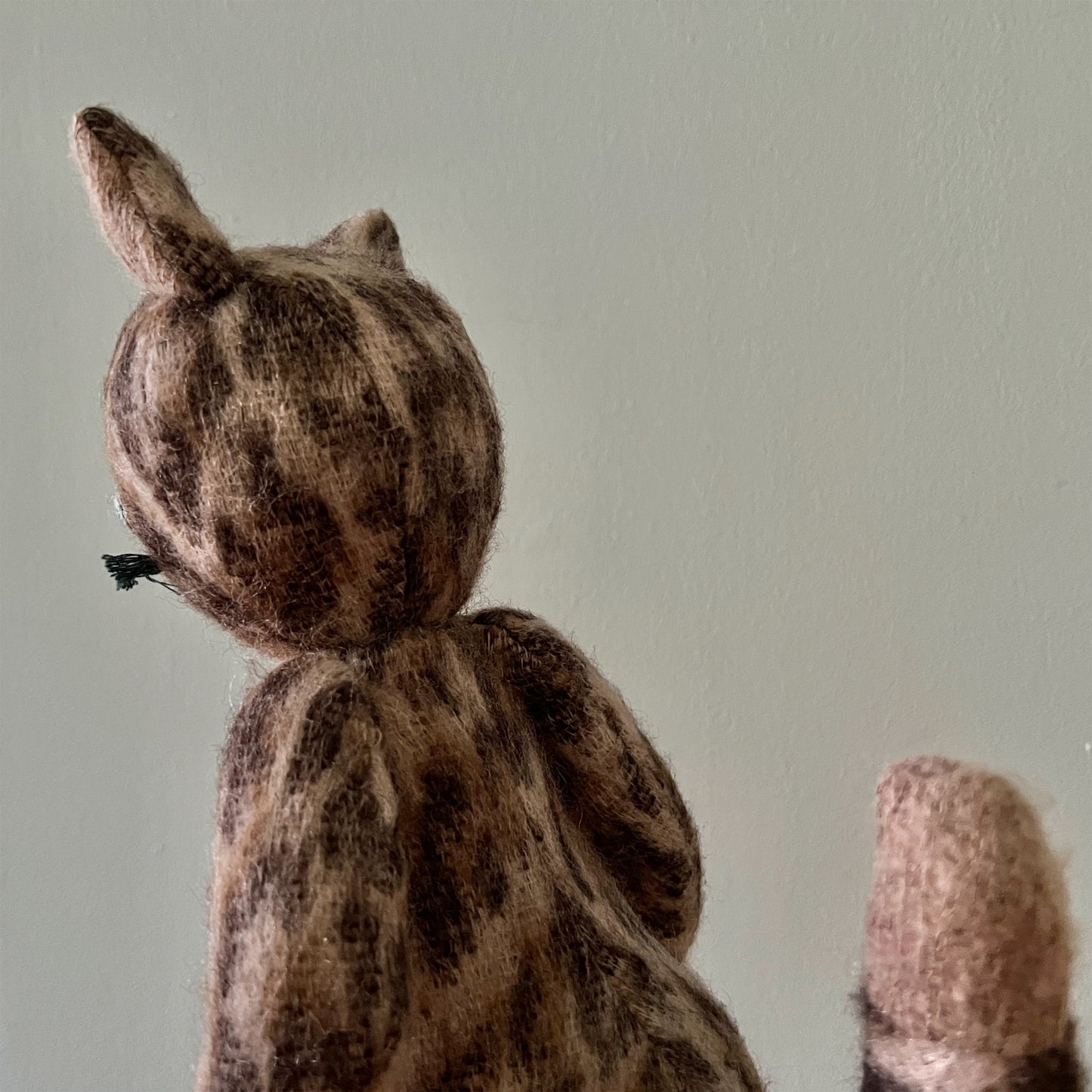 【AYUKO HAZU】Cat M 4