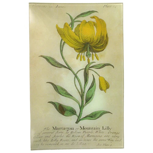 【JOHN DERIAN】デコパージュプレート Mountain Lily (Floral)