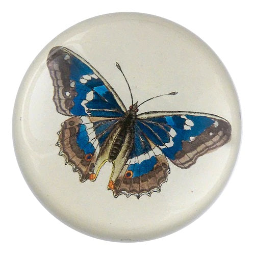 【JOHN DERIAN】デコパージュペーパーウェイト Papilio N. Iris