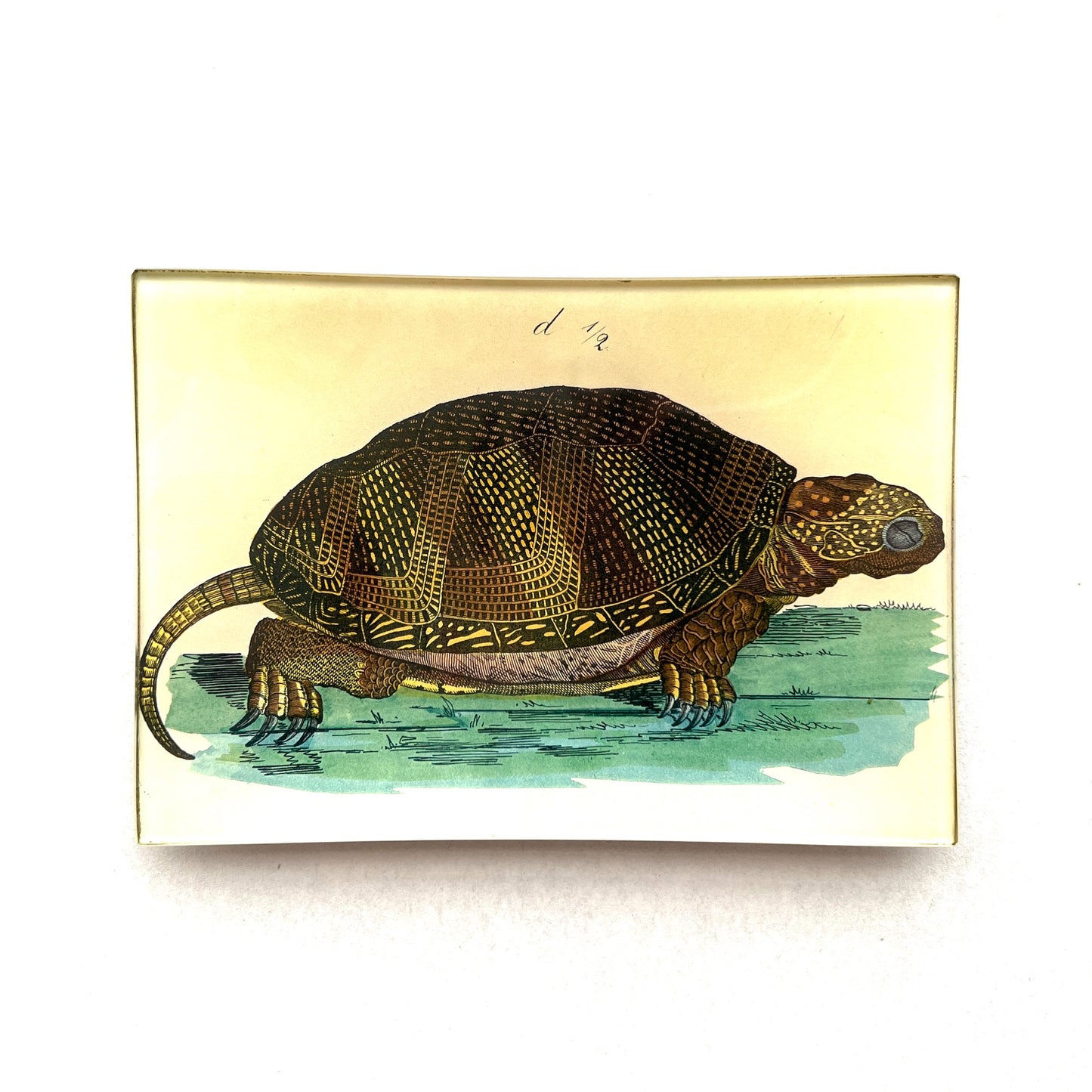 【JOHN DERIAN】デコパージュプレート Turtle