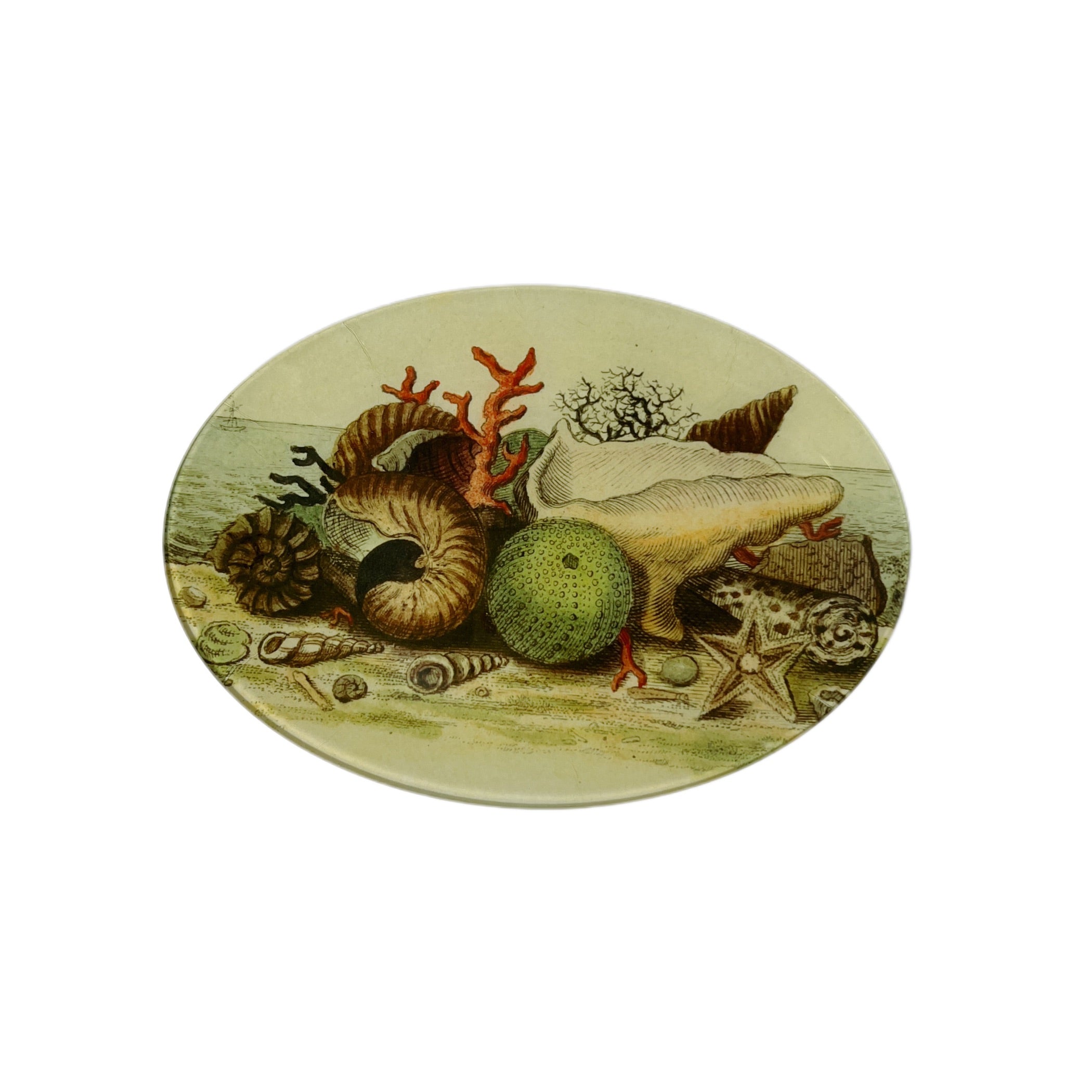 JOHN DERIAN】デコパージュプレート Shells, circa 1755 | フィール