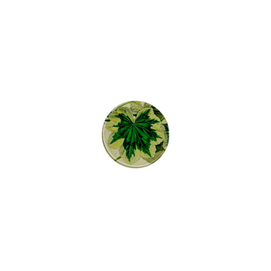 【JOHN DERIAN】デコパージュプレート Leaf of the Day